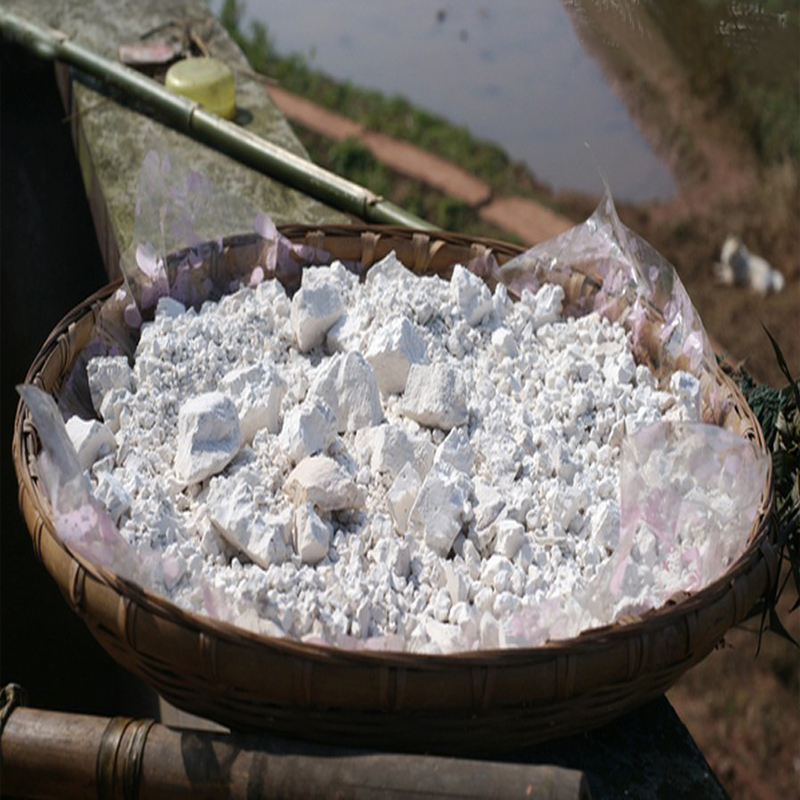 红薯淀粉小酥肉粉淀粉