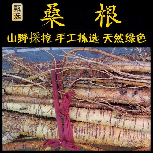 新鲜现采桑根潮汕青草堂桑葚根