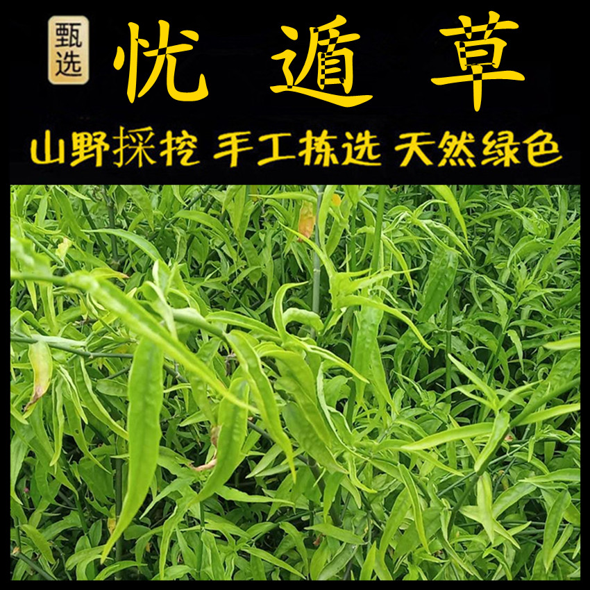 新鲜现采潮汕青草药 黎王草 鳄嘴花 忧遁草 优顿草优盾草优遁草茶
