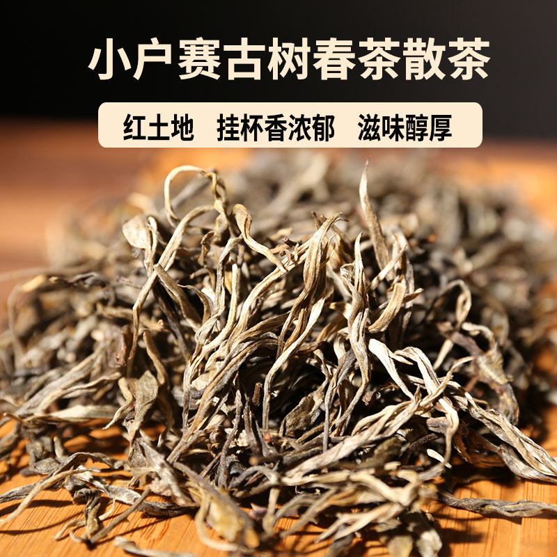 小户赛古树春茶散茶香甜饱满