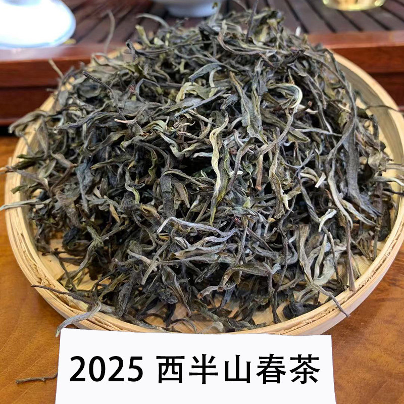 临沧2025年早春云南普洱茶