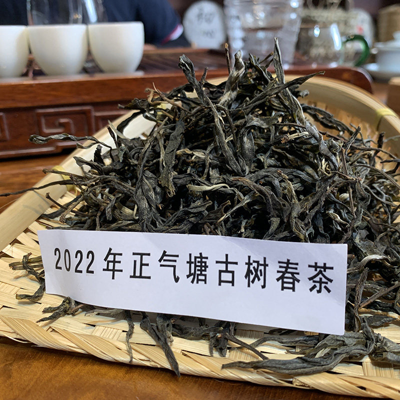 2022年临沧勐库正气塘古树纯料