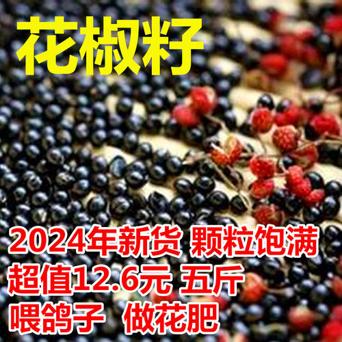 大红袍散装花椒种子包邮