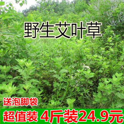 野生艾叶陈艾草叶洗澡泡脚月子干艾草制艾绒艾条艾蒿4斤装包邮