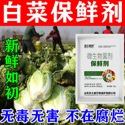 大白菜保鲜剂蔬菜保鲜生姜土豆药材红薯蔗保鲜防腐防斑点防烂果