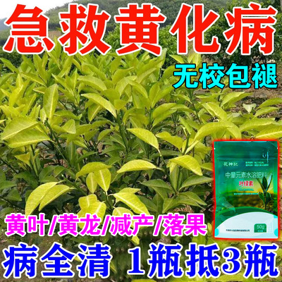 黄化病果树专用药叶子黄化症黄龙病烂根柑橘红鼻子病脐橙柚桔子树