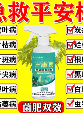 平安树专用肥料白粉病专用复合肥催促开花烂根叶子发黄虫菌营养剂