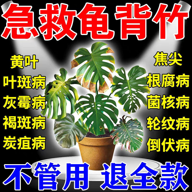 龟背竹专用营养液黑斑铁锈真菌病黄叶焦边炭疽病天南星科水培肥料,鲜花速递/花卉仿真/绿植园艺,家庭园艺肥料,淘宝优惠券,粉丝福利购,淘宝优惠卷