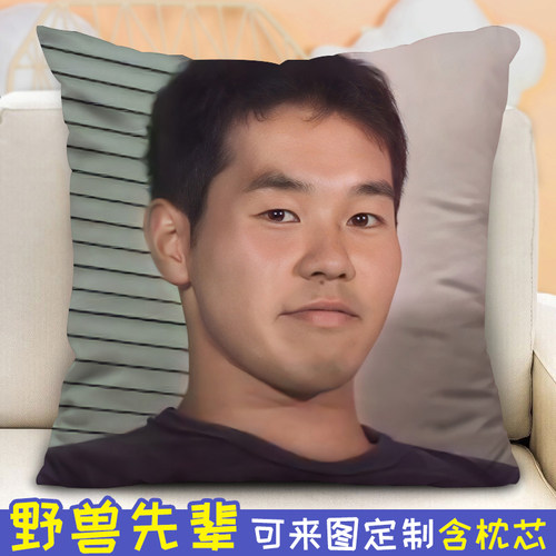 野兽先辈抱枕diy定制田所浩二