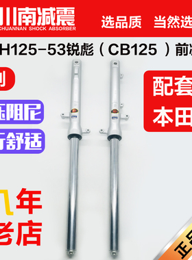 川南新大洲摩托车SDH125-53锐彪（CB125）CGX125CB125D前减震配件