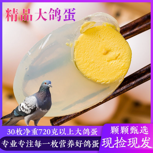 鲜鸽子蛋30枚720克以上纯粮散养
