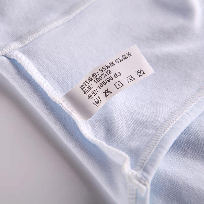 Slip Moyen-âge N016X20332-5 en coton - Ref 669113 Image 5