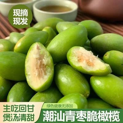 潮汕特产青枣橄榄新鲜现摘正宗金灶青橄榄果酥脆回甘孕妇水果生吃
