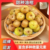 潮汕油柑果新鲜崩坎油甘果余甘子牛甘果滇橄榄甜种柿饼甜油柑现摘