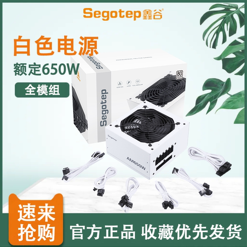 鑫谷额定650W全模组白色电源白牌