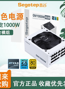 鑫谷ATX3.0电源 GM/KL昆仑850W1000W1250W白色金牌全模组静音全新