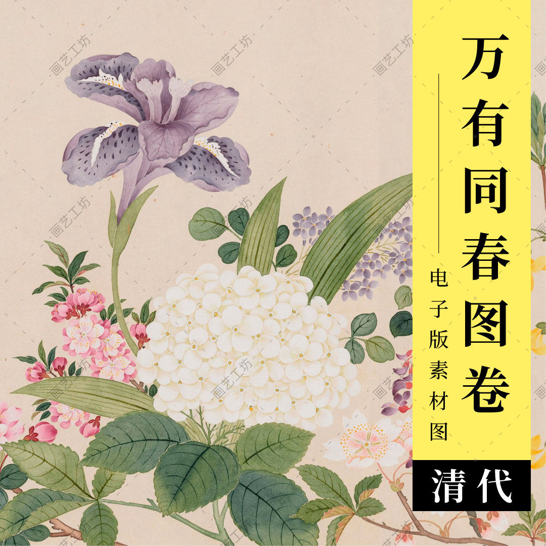 万有同春图卷电子版清代钱维城工笔花卉牡丹梅花国画图临摹高清图