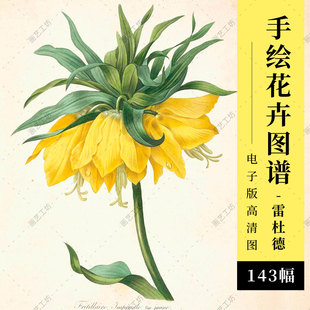 约瑟夫雷杜德手绘花卉图谱百合玫瑰鸢尾水彩彩铅博物画装饰画高清