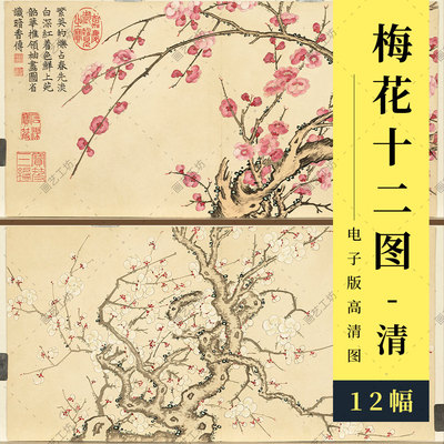 瑶圃先春图册梅花十二幅清代名画董诰绘三希堂花鸟国画临摹高清图