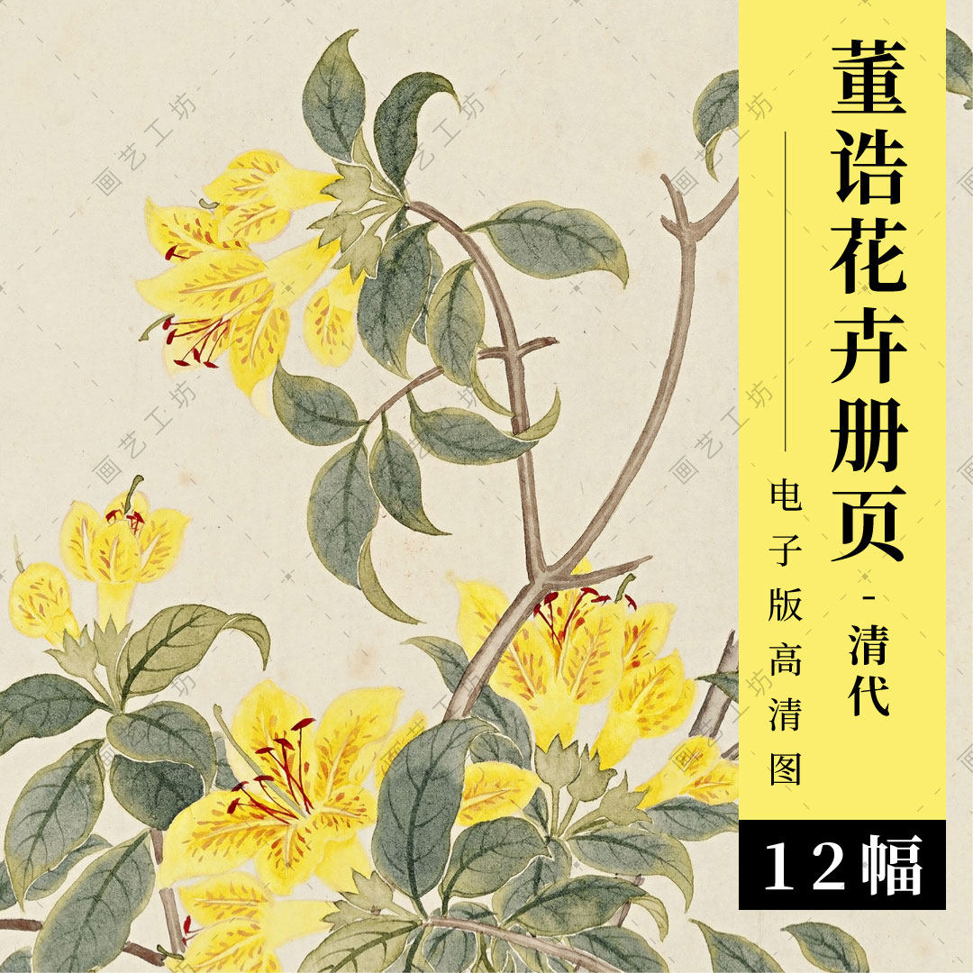 董诰画花卉册页电子版清代工笔花草国画手绘水彩彩铅画临摹高清图
