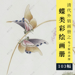 蝴蝶彩绘图册清代外销画册彩蝶花草植物手绘水粉水彩画彩铅博物画