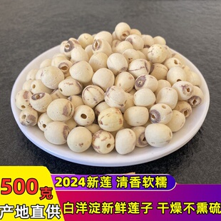 【2024新莲】白洋淀特产精选白莲子干货去芯白莲500g无芯磨皮包邮