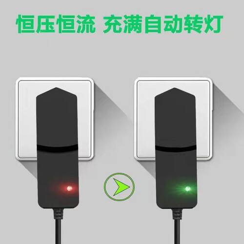 适用LAISAI莱赛激光水平仪LS319贴地墙仪电源适配器12.6V1A充电器