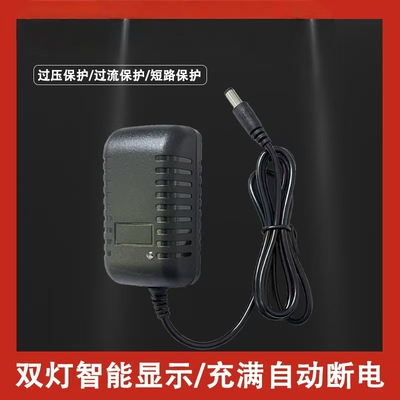 适用DIBEA地贝DW200真空吸尘器（无线吸尘器）电源26v0.45A充电器