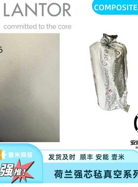 荷兰LANTOR强芯毡SF XF TF系列真空导入工艺 蜂窝状六边型