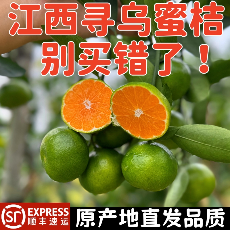 顺丰速运+江西寻乌蜜桔