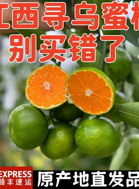 顺丰速运+江西寻乌蜜桔