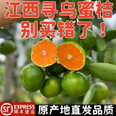 顺丰速运+江西寻乌蜜桔