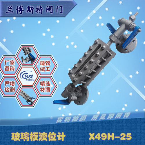 锅炉水位计平板液位计X49H-25