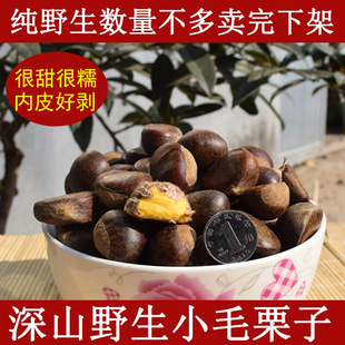 正宗迁西新鲜野生小板栗小毛栗子老树小油栗小粒