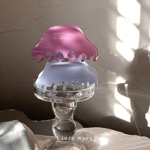 也被美到了呢 高级感醋酸抓夹简约发抓高级发夹气质韩国发饰头饰