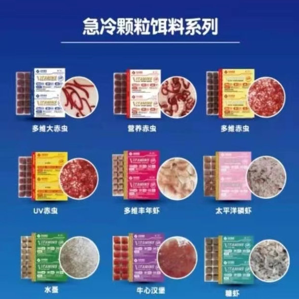 新鲜冰冻红血虫冷冻红线虫红虫