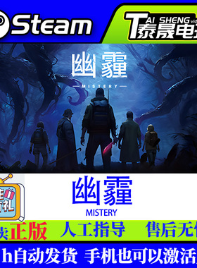 Steam国区正版CDKEY 幽霾 MISTERY 激活码入库 现货秒发