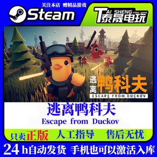 逃离鸭科夫 Escape 激活码 正版 入库 PC端 国区 Duckov Steam from