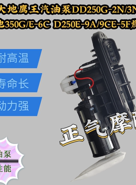 大地鹰王汽油泵DD250G-2N/3N大地350G/E-6C D250E-9A/9CE-5F燃油