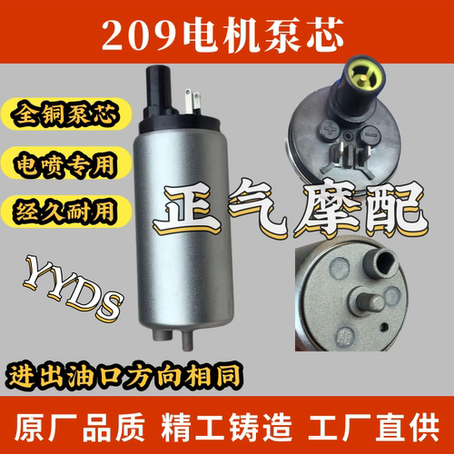 适用春风CF400-6-9-12 450SR/SRS 650NK/TR汽油泵芯 马达电机