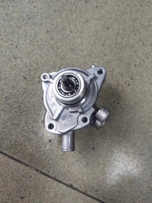 浙江嘉爵摩托车 JJ150T-B水泵机头 水箱泵