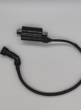 力帆摩托KPT200KPS200LF200-10L200-10RV16LF250-D高压包点火线圈