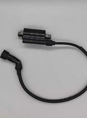 力帆摩托KPT200KPS200LF200-10L200-10RV16LF250-D高压包点火线圈