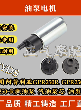 适用阿普利亚GPR250R GPR250SAPR250-R燃油泵 汽油泵芯 油泵电机