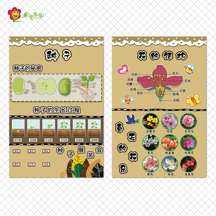幼儿园春天主题墙环创布置动物种子生长过程花朵结构植树探索贴画