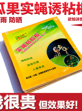 实蝇粘胶板果蝇诱粘板针蜂果园粘虫板防虫贴瓜果粘蝇纸柑橘灭蚊虫
