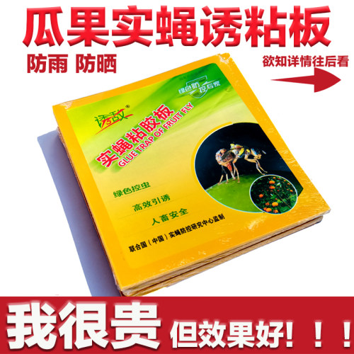 实蝇粘胶板果蝇针蜂贴板