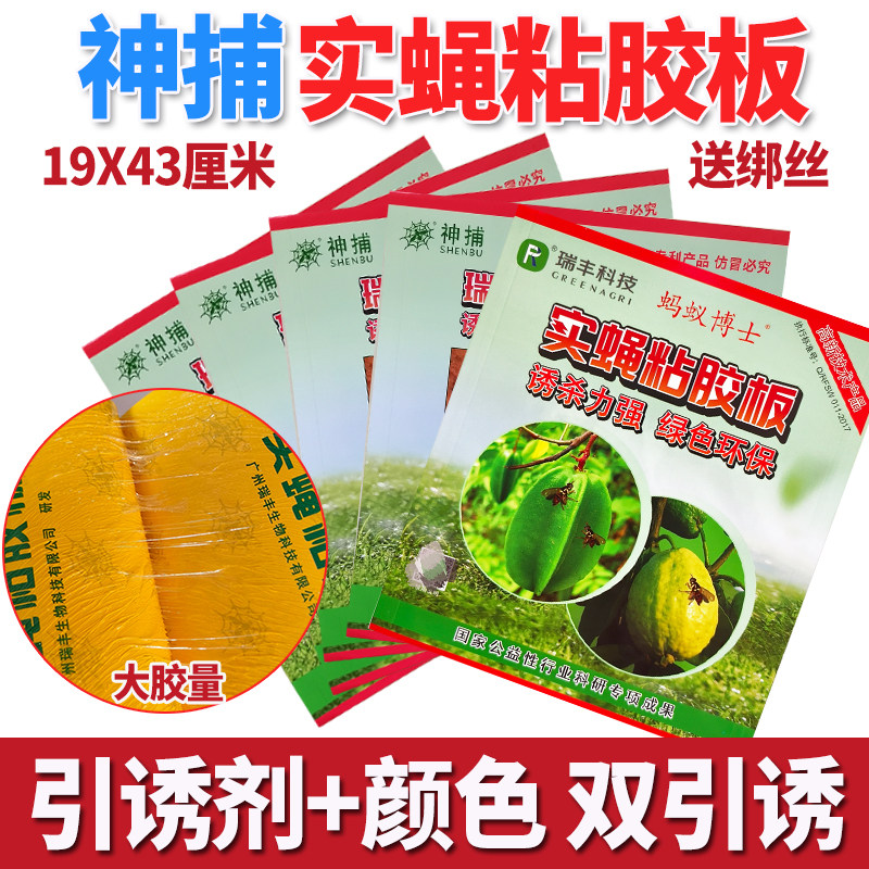 实蝇粘胶板果蝇贴灭果蝇诱捕器瓜果实蝇诱粘剂针蜂引诱剂粘虫蜜蜂