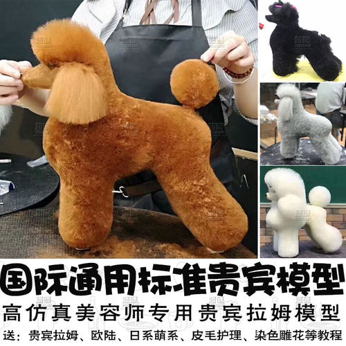 学校同款宠物美容师练习假毛标准贵宾拉姆模型剪毛模特仿真假狗毛
