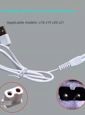 牛王充电器皇家徒步雷蛇专用便携式灯头充电器USB双孔充电线